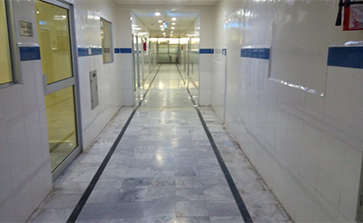 Factory and Office Tour Memories